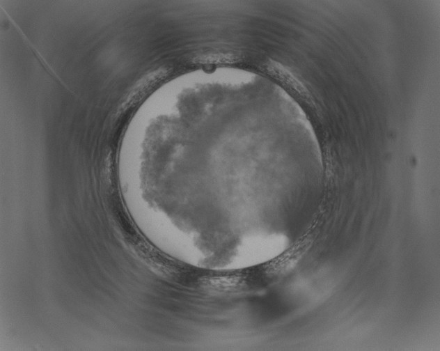 X0000067890163200605041601