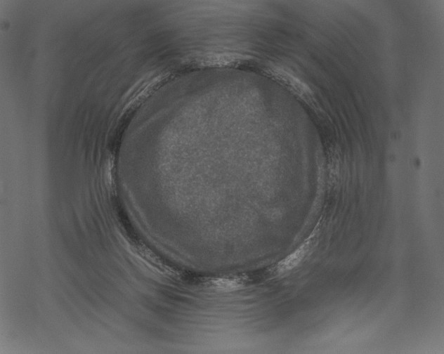 X0000067890166200605041601