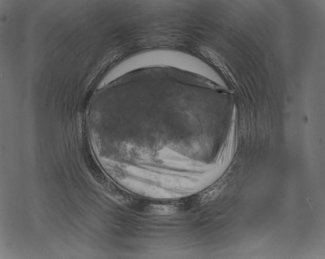 X0000067890167200605041601