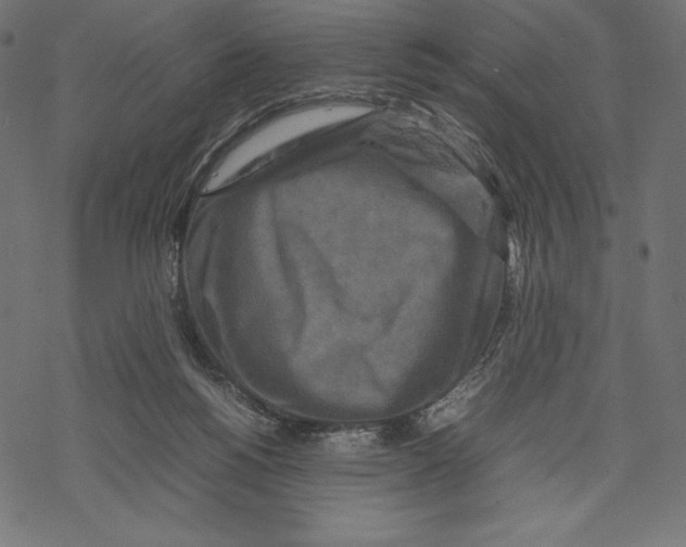 X0000067890168200605041601