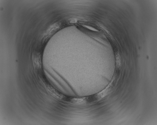 X0000067890170200605041601