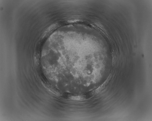 X0000067890171200605041601