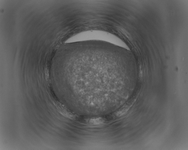 X0000067890173200605041601