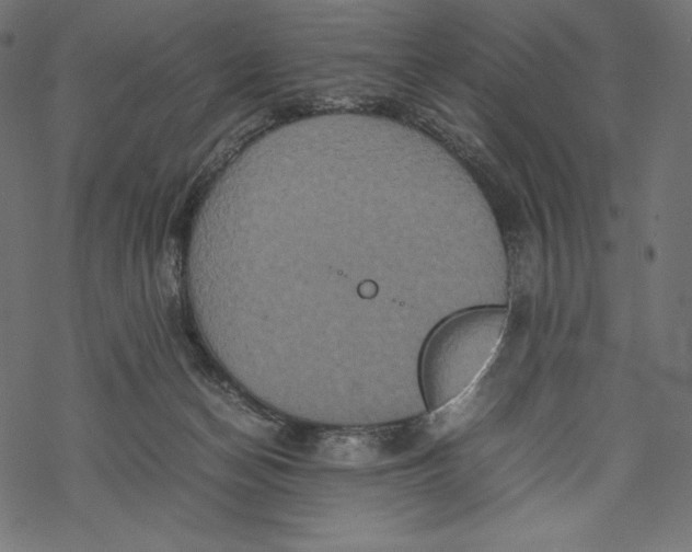 X0000067890174200605041601