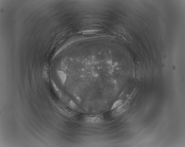 X0000067890175200605041601