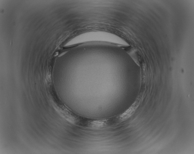 X0000067890176200605041601