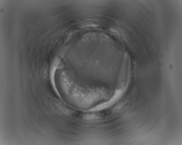 X0000067890177200605041601