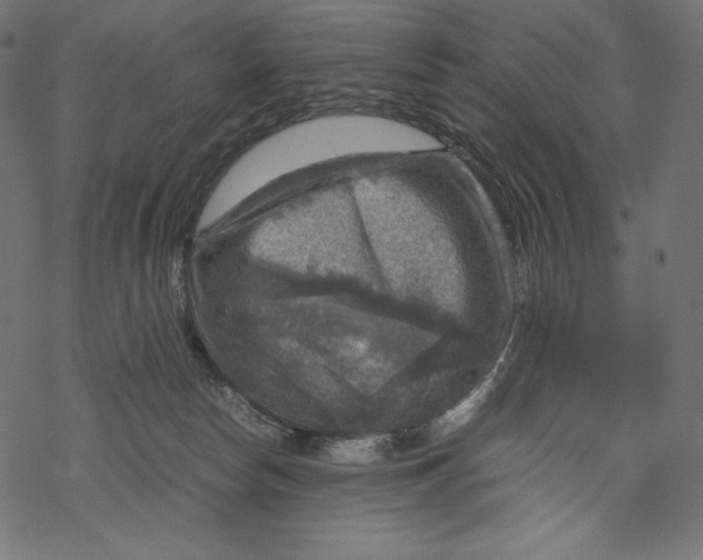 X0000067890178200605041601