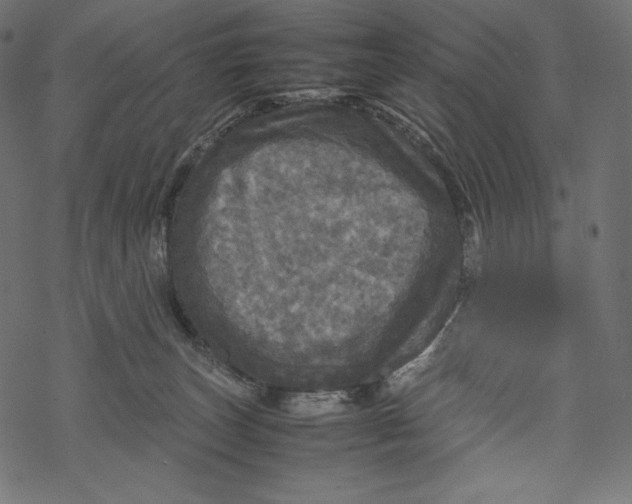 X0000067890179200605041601