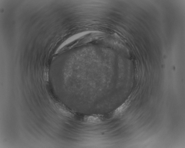 X0000067890180200605041601