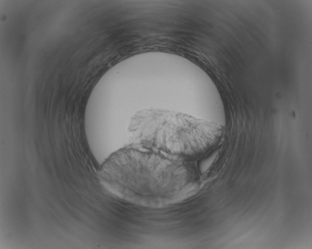 X0000067890181200605041602