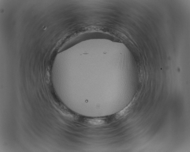 X0000067890183200605041602