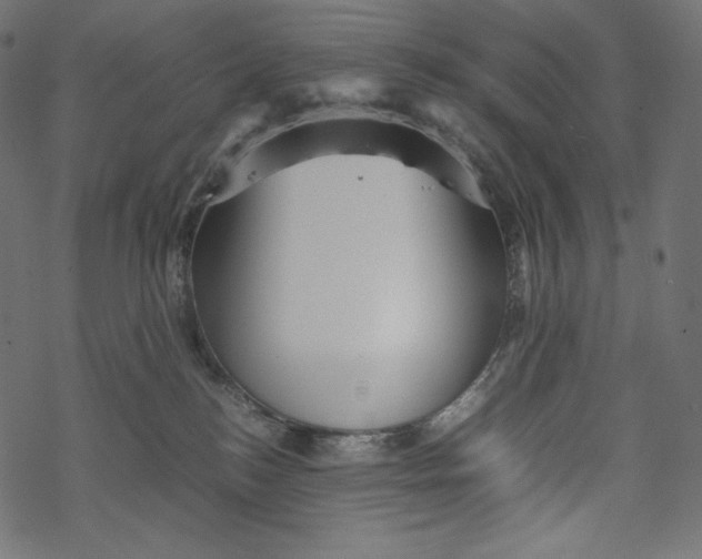 X0000067890184200605041602