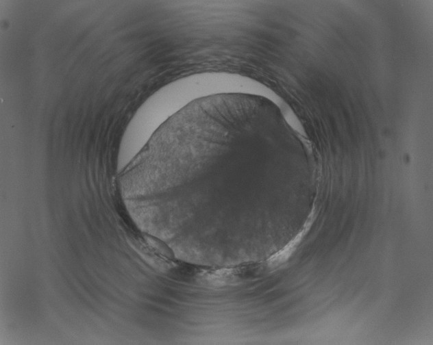 X0000067890186200605041602