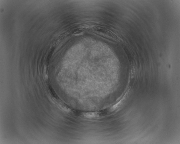 X0000067890187200605041602