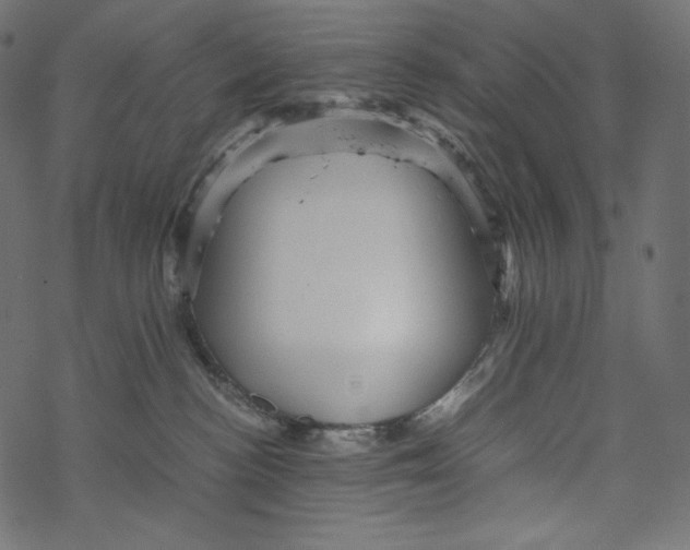 X0000067890188200605041602