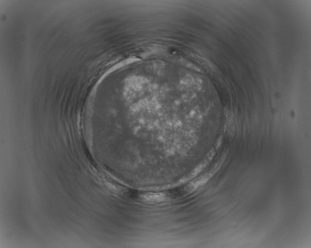 X0000067890189200605041602