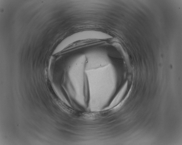 X0000067890190200605041602