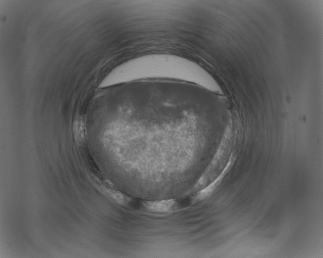 X0000067890191200605041602