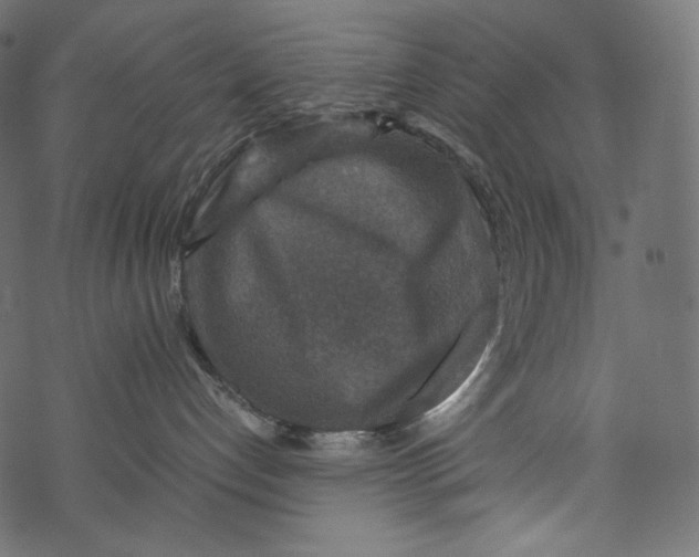 X0000067890192200605041602