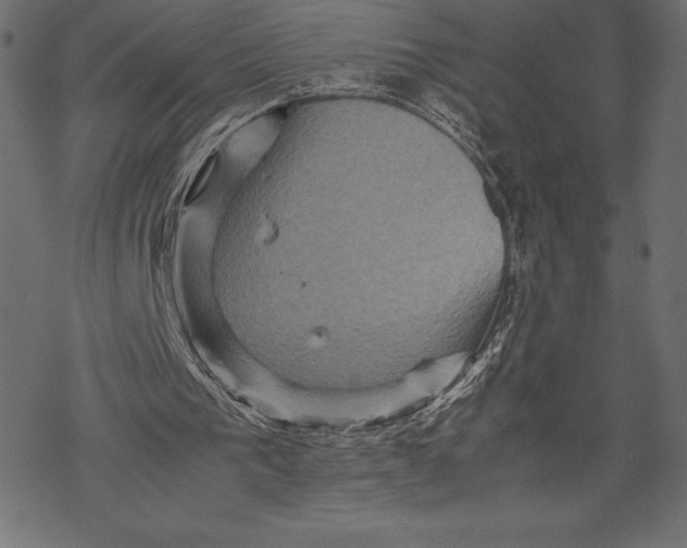 X0000067890193200605041601