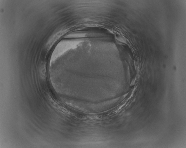 X0000067890194200605041601