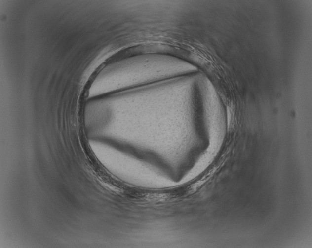 X0000067890195200605041601