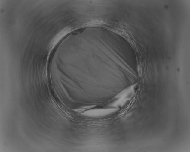 X0000067890196200605041601