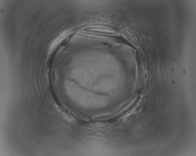 X0000067890197200605041601