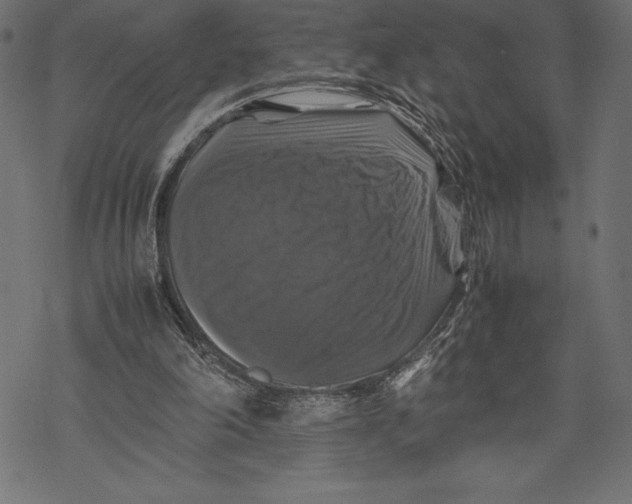 X0000067890198200605041601