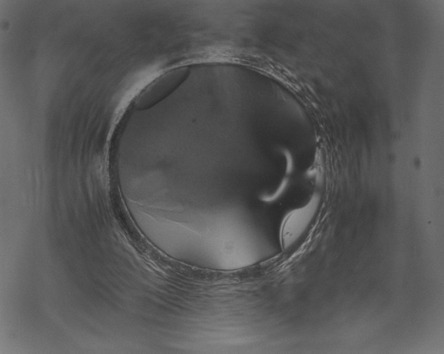 X0000067890200200605041601