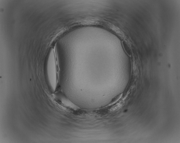 X0000067890201200605041601