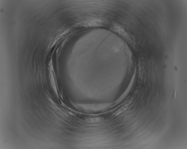 X0000067890202200605041601