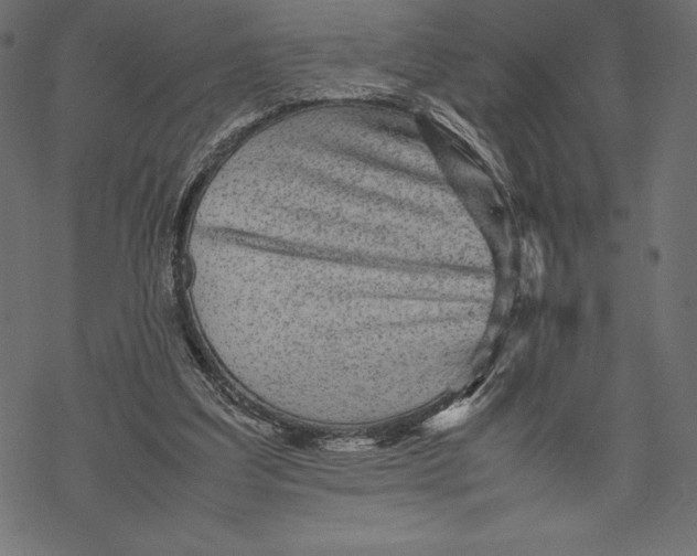 X0000067890203200605041601