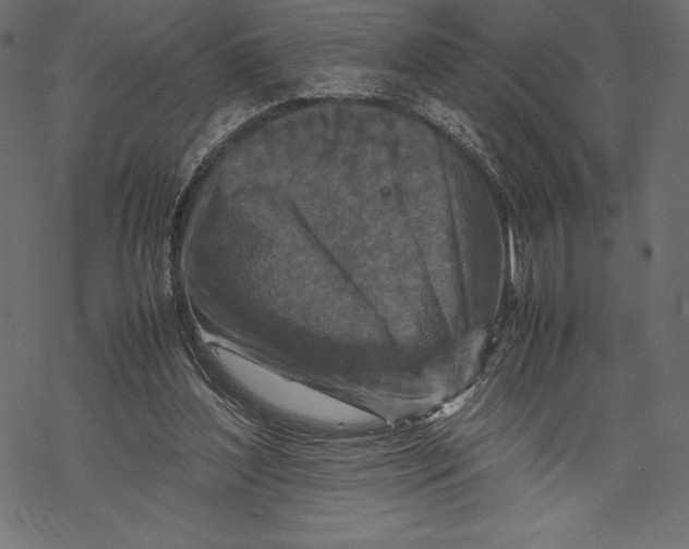 X0000067890204200605041601