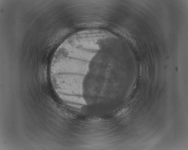 X0000067890206200605041601