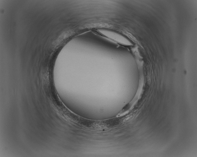 X0000067890207200605041601