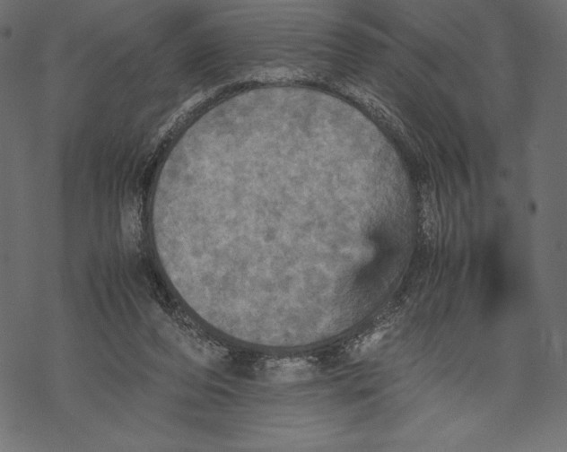 X0000067890208200605041601