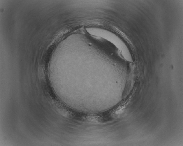 X0000067890209200605041601