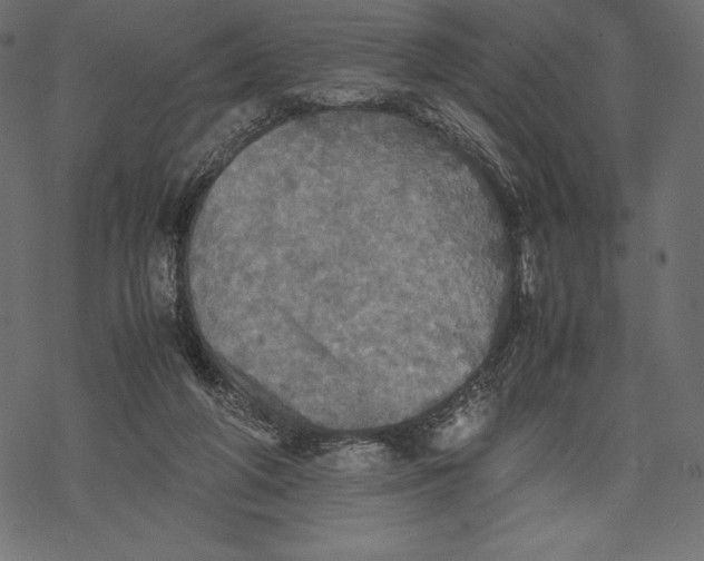 X0000067890210200605041601