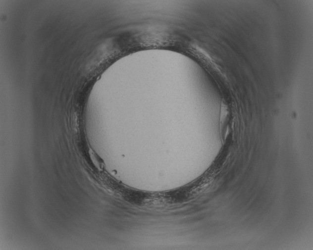 X0000067890211200605041601