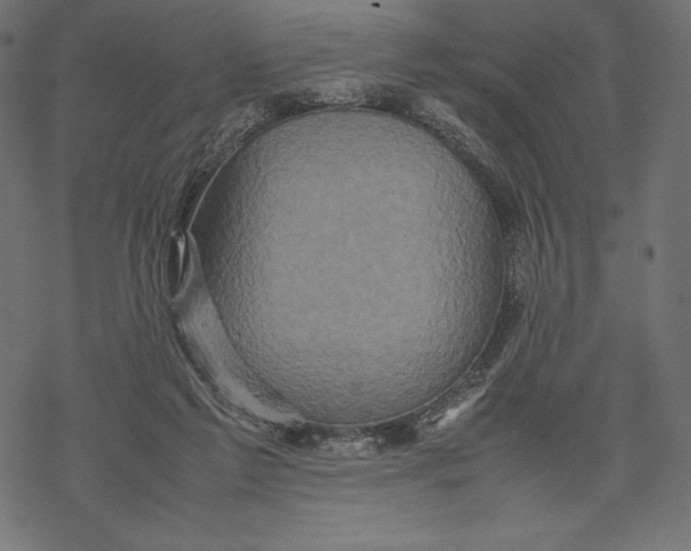 X0000067890213200605041601