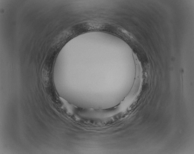 X0000067890215200605041601