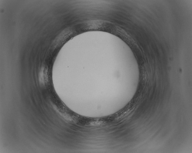 X0000067890216200605041601