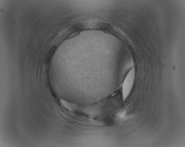 X0000067890217200605041600