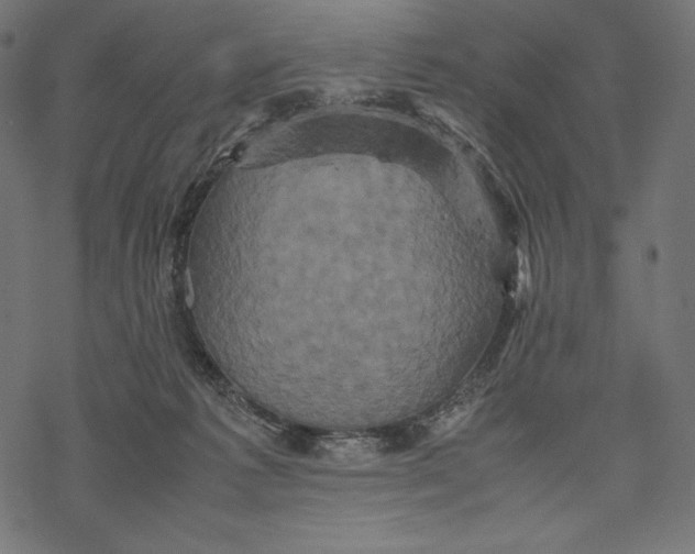 X0000067890221200605041600