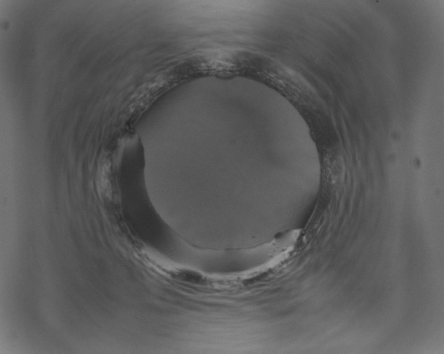 X0000067890223200605041600