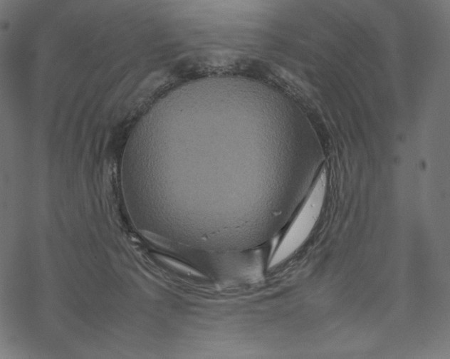 X0000067890225200605041600