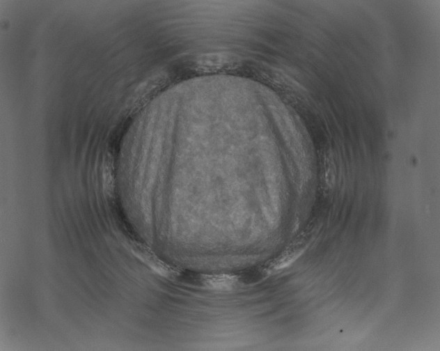 X0000067890226200605041600