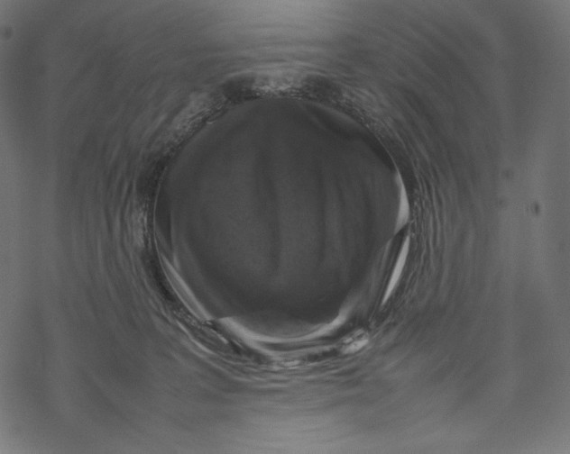 X0000067890227200605041600